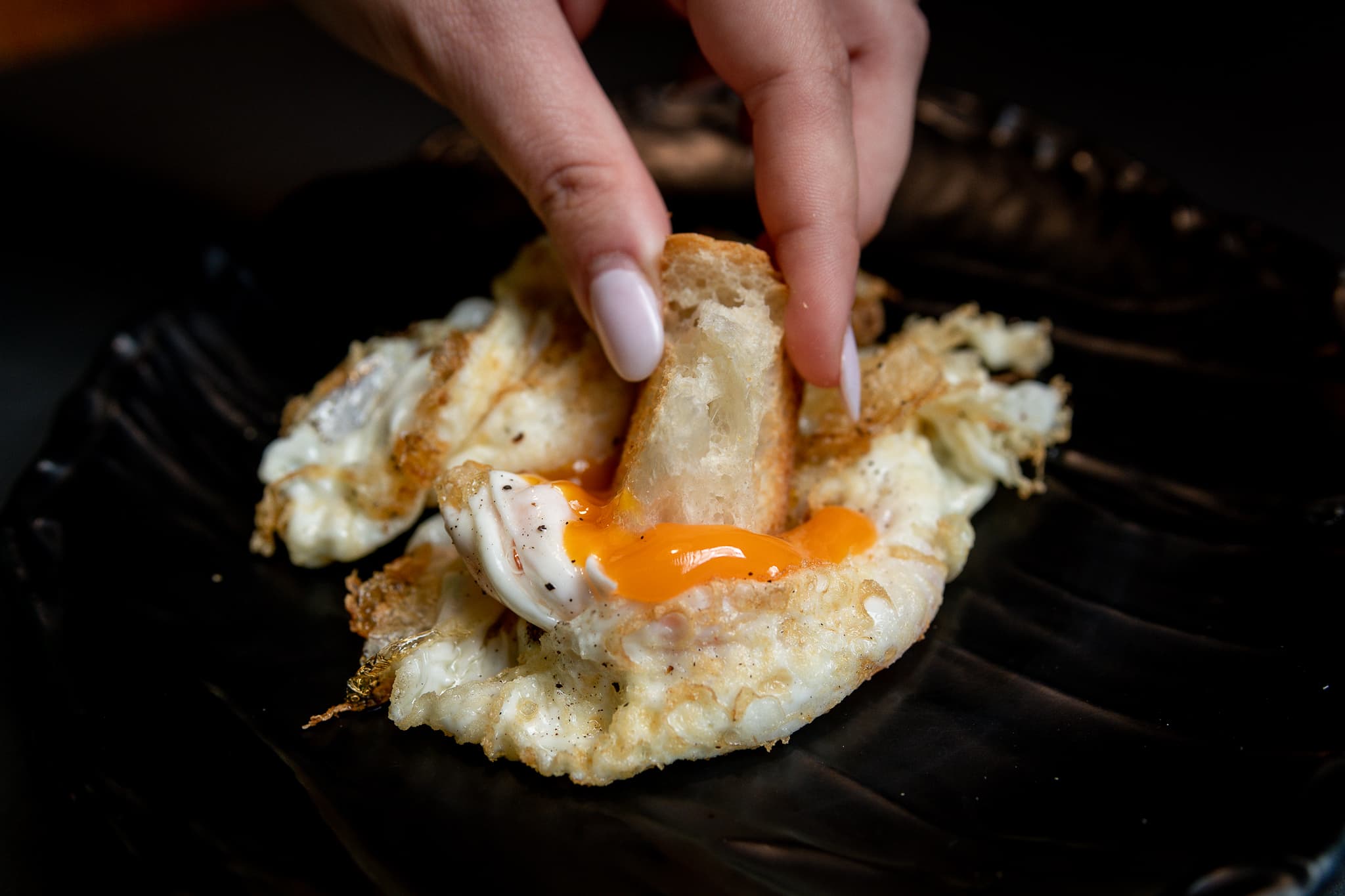 eggs