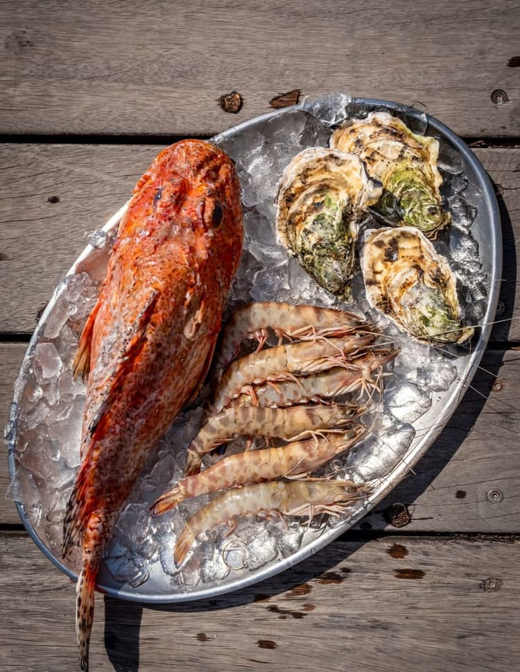 Fruits de mer frais et poissons sur glace.